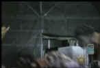 all99993.jpg (7563 byte)