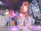 foxh1.jpg (33452 byte)