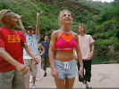 foxh6.jpg (32601 byte)
