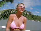 foxh91.jpg (26789 byte)