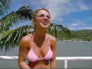 foxh92.jpg (27535 byte)