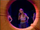 rose21.jpg (22911 byte)
