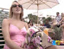 sb1.jpg (40068 byte)