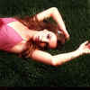 bs91.jpg (28669 byte)