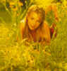 of2.jpg (50531 byte)